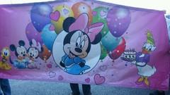 Baby Mice banner Baby Mice banner