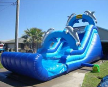 DOLPHIN DROP 16ft.(no pool) DOLPHIN DROP 16ft.(no pool)