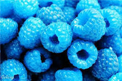 Cotton Candy - Blue Raspberry Cotton Candy - Blue Raspberry