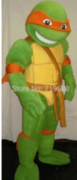 Turtle Hero Turtle Hero